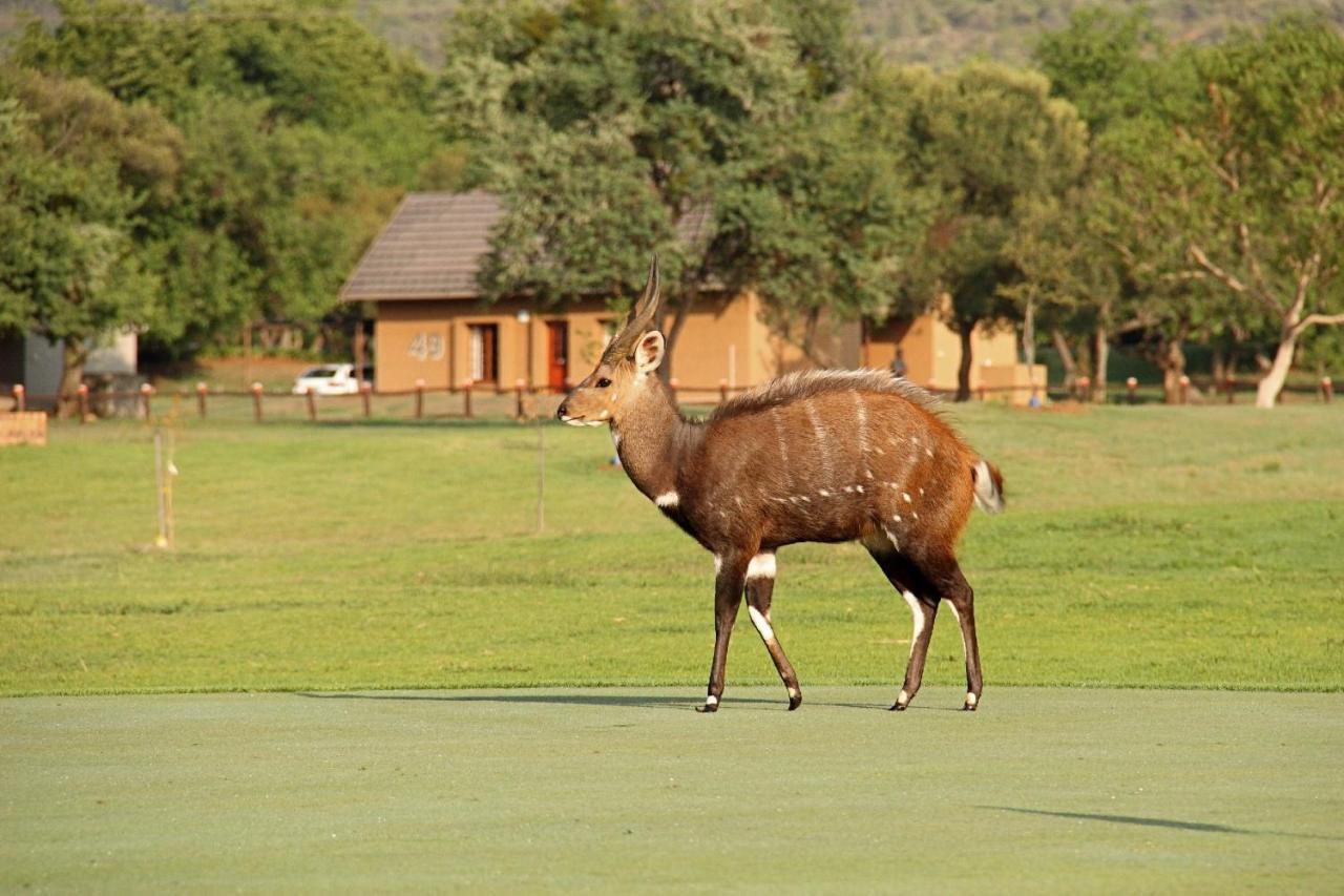 מלון הארטביספורט First Group Magalies Park מראה חיצוני תמונה